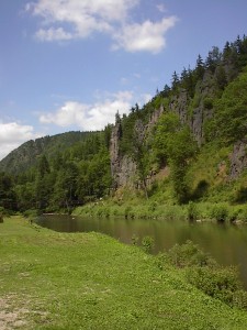 2001.07.23 13.00.00.jpg